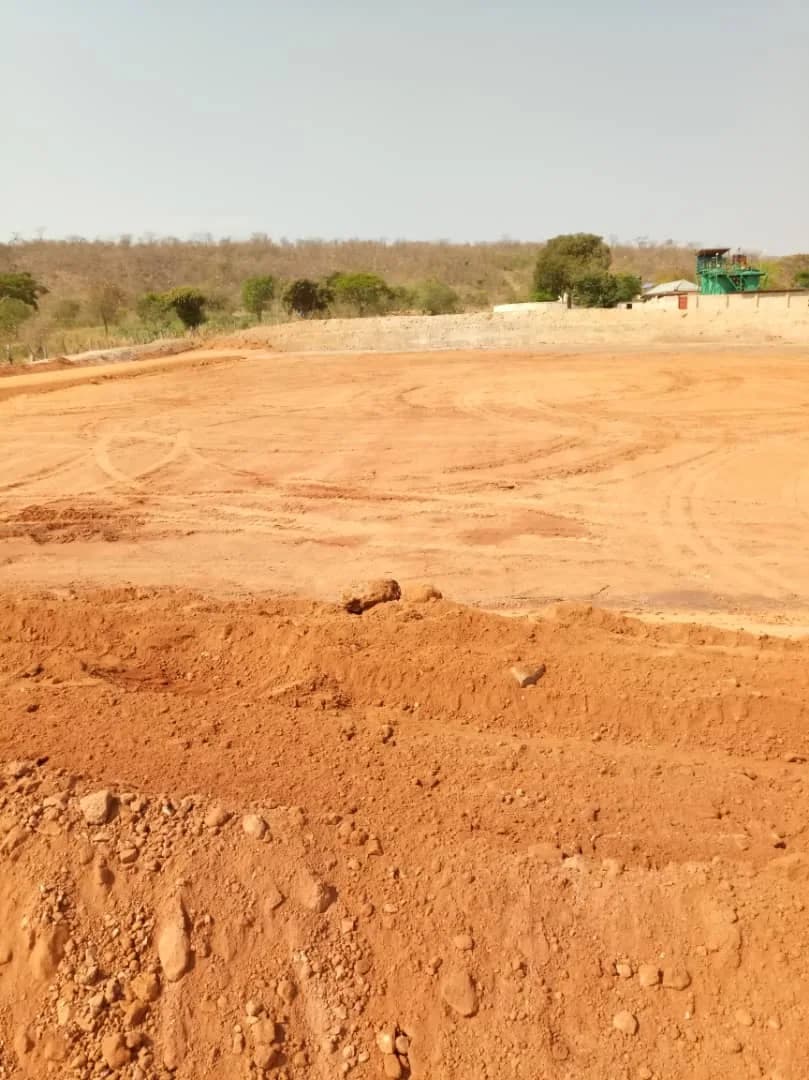 Graded TSF pad with the plant visible in the distance