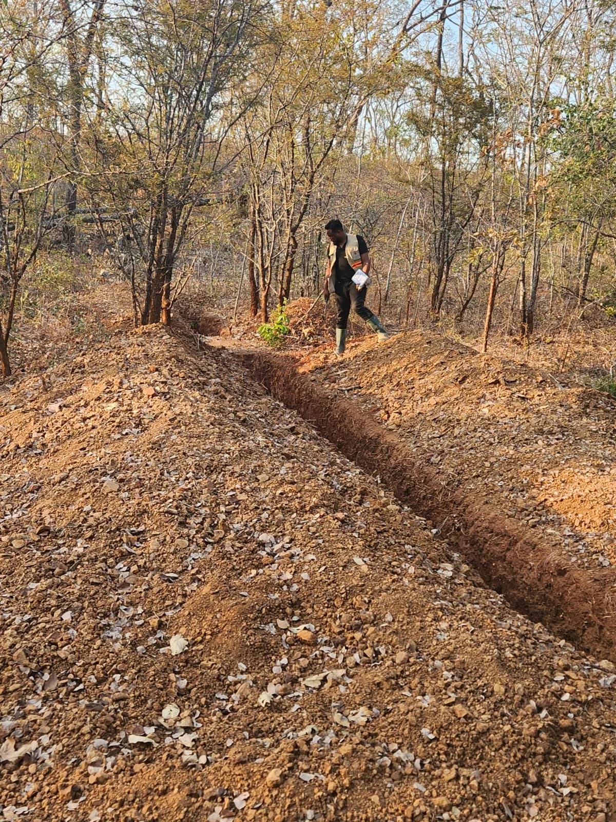 Geologist walking the trench line while logging sample locations