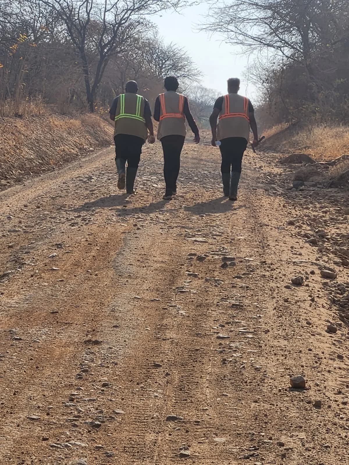 Exploration team walking down the access road to the next site