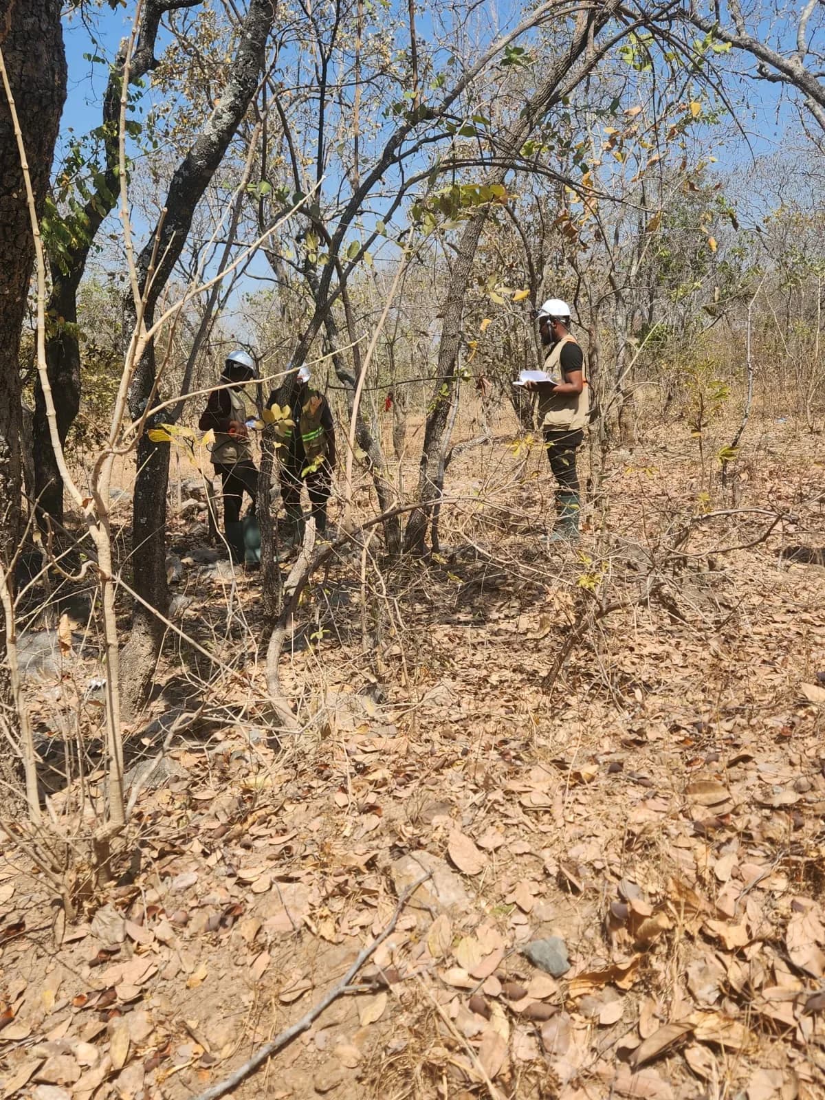 Exploration team surveying the woodland site